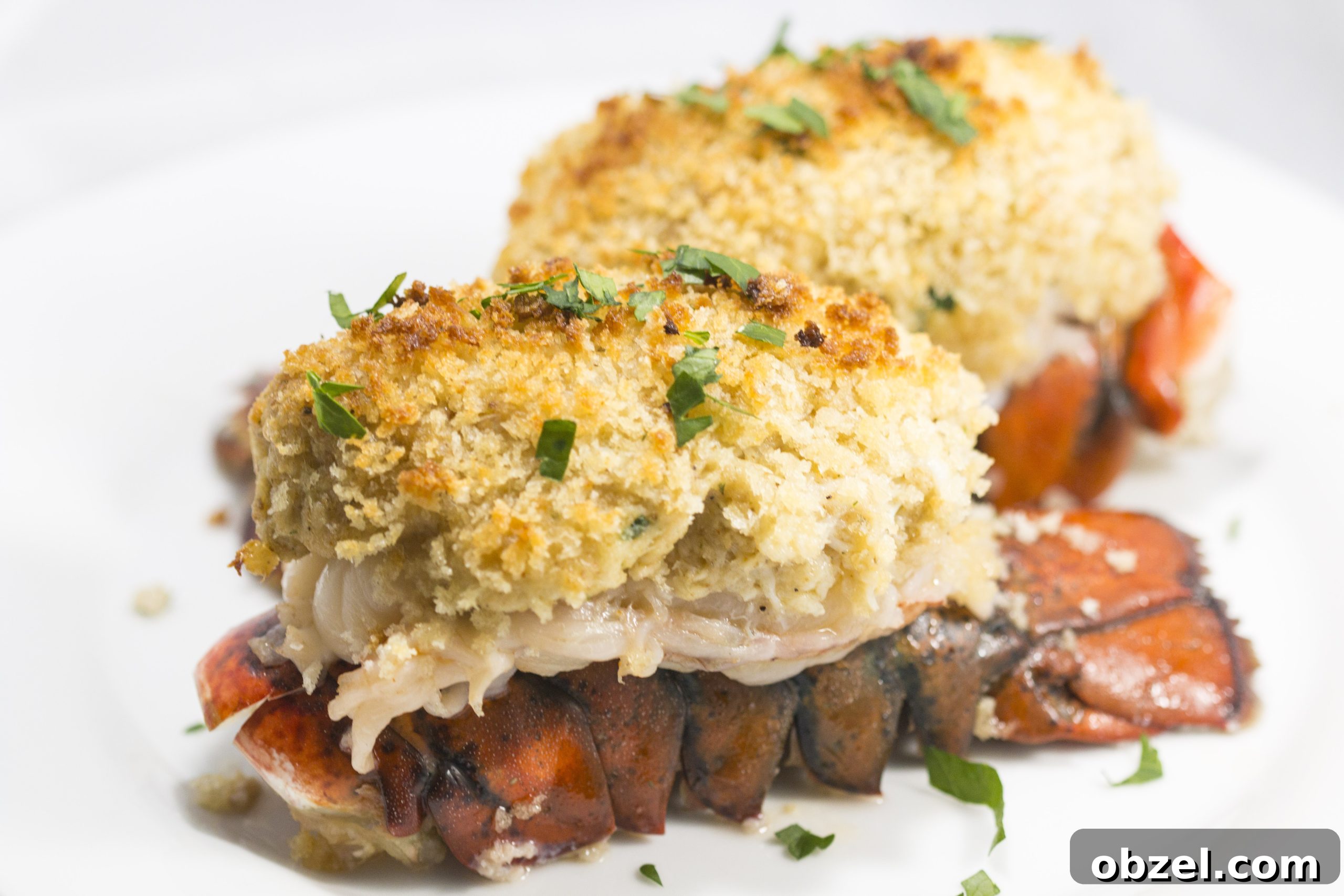 Crab Stuffed Lobster Tails Recipe 10 Crab Stuffed Lobsters