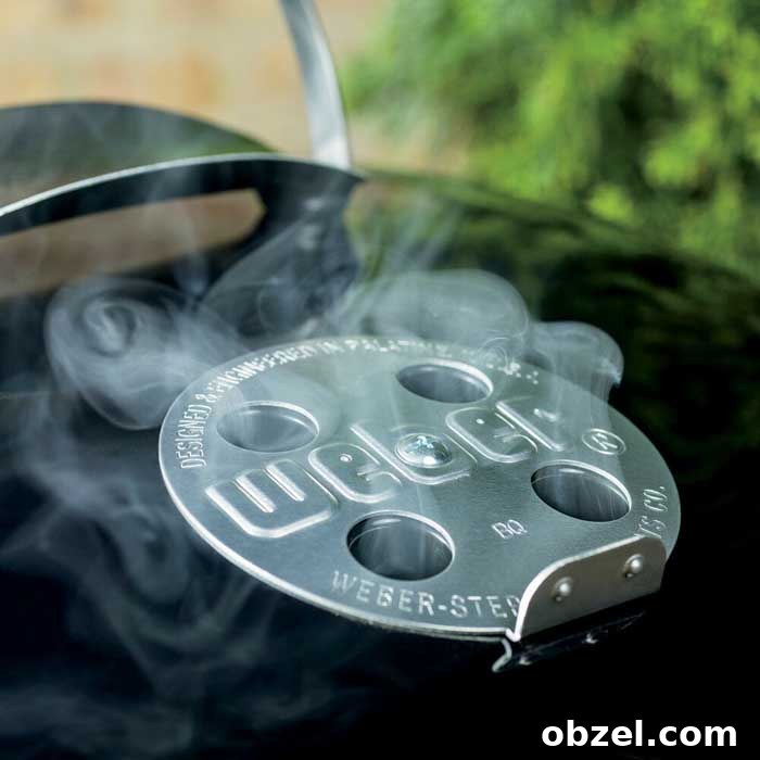 weber jumbo joe review 6 weber jumbo joe air vents