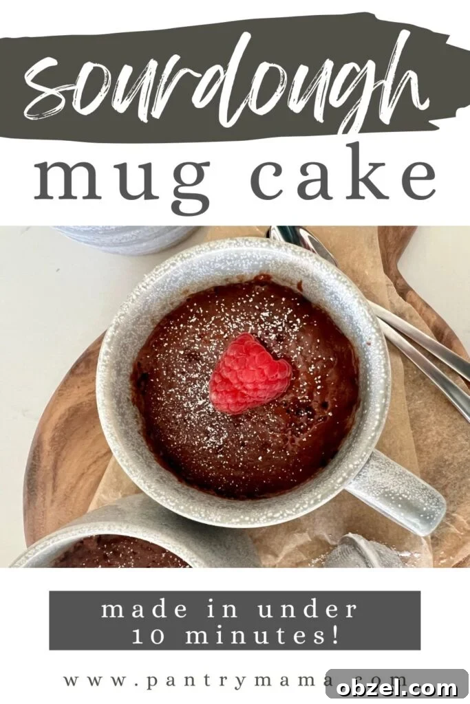Quick Sourdough Discard Mug Cake Recipe 7 Sourdough mug cake Pinterest image.