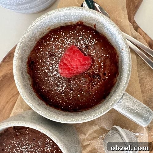 Quick Sourdough Discard Mug Cake Recipe 8 Sourdough discard mug cake recipe image.