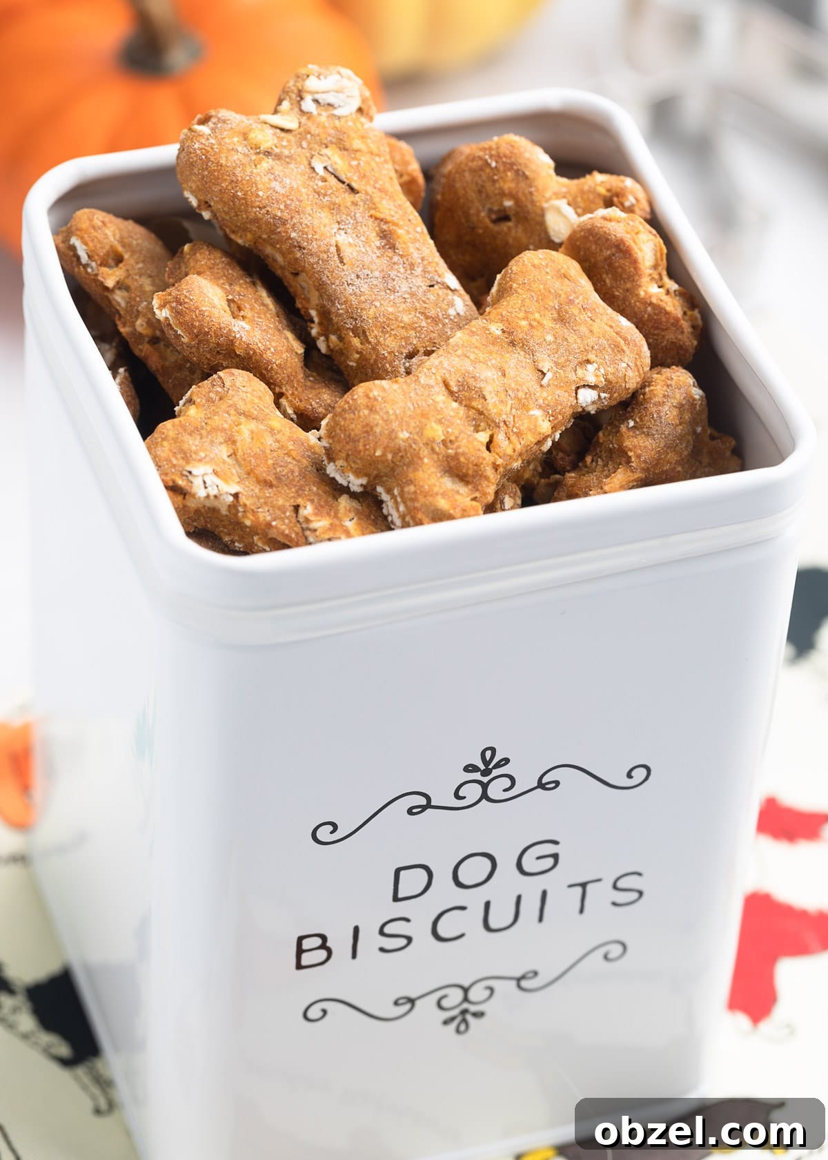 Homemade Pumpkin, Apple & Oat Dog Treats 2 homemade pumpkin dog treats in a white dog biscuit canister