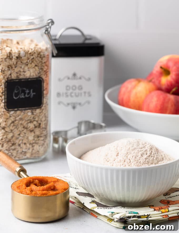 Homemade Pumpkin, Apple & Oat Dog Treats 4 ingredients for homemade dog treats on a white countertop: canned pumpkin, whole wheat flour, apples, and oats