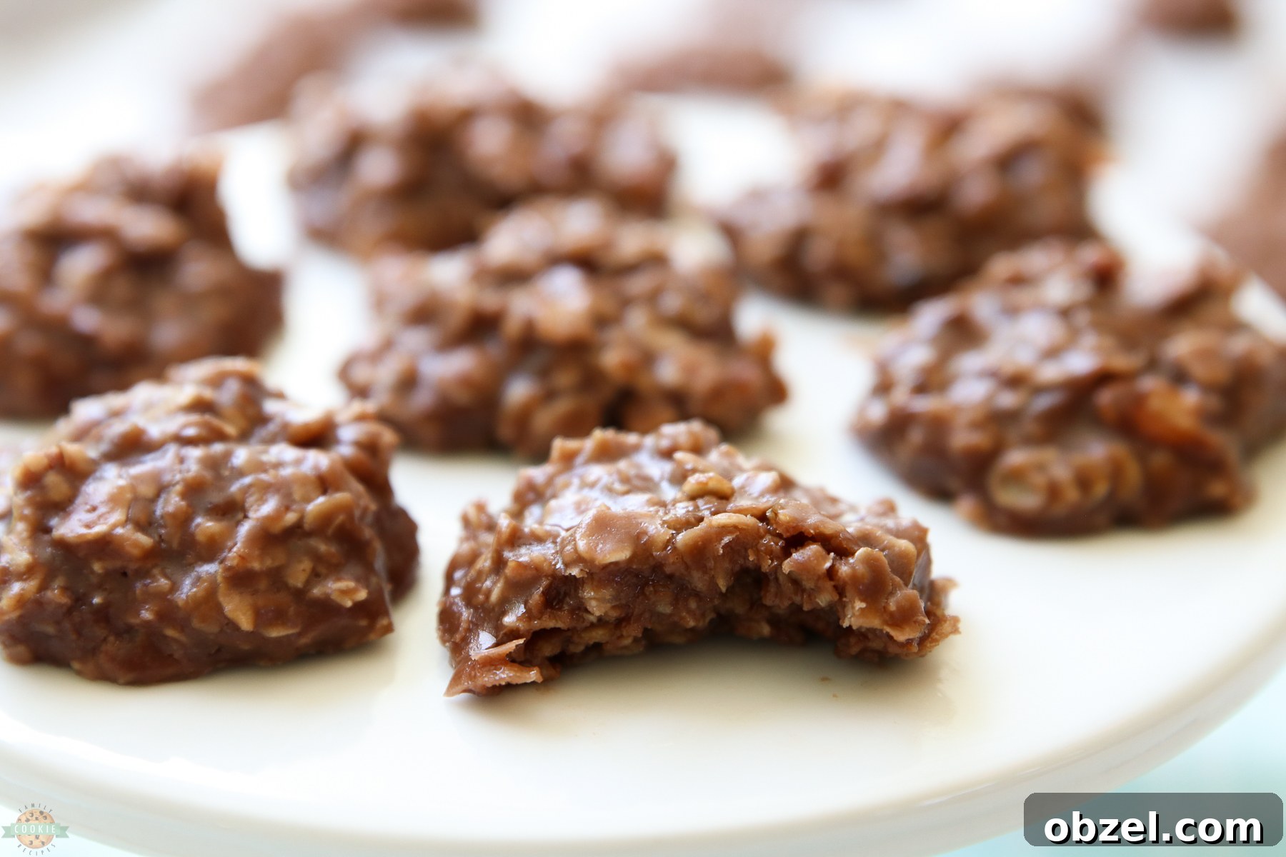 Peanut-Free No-Bake Cookies Recipe 2 no bake cookies with a bite taken out