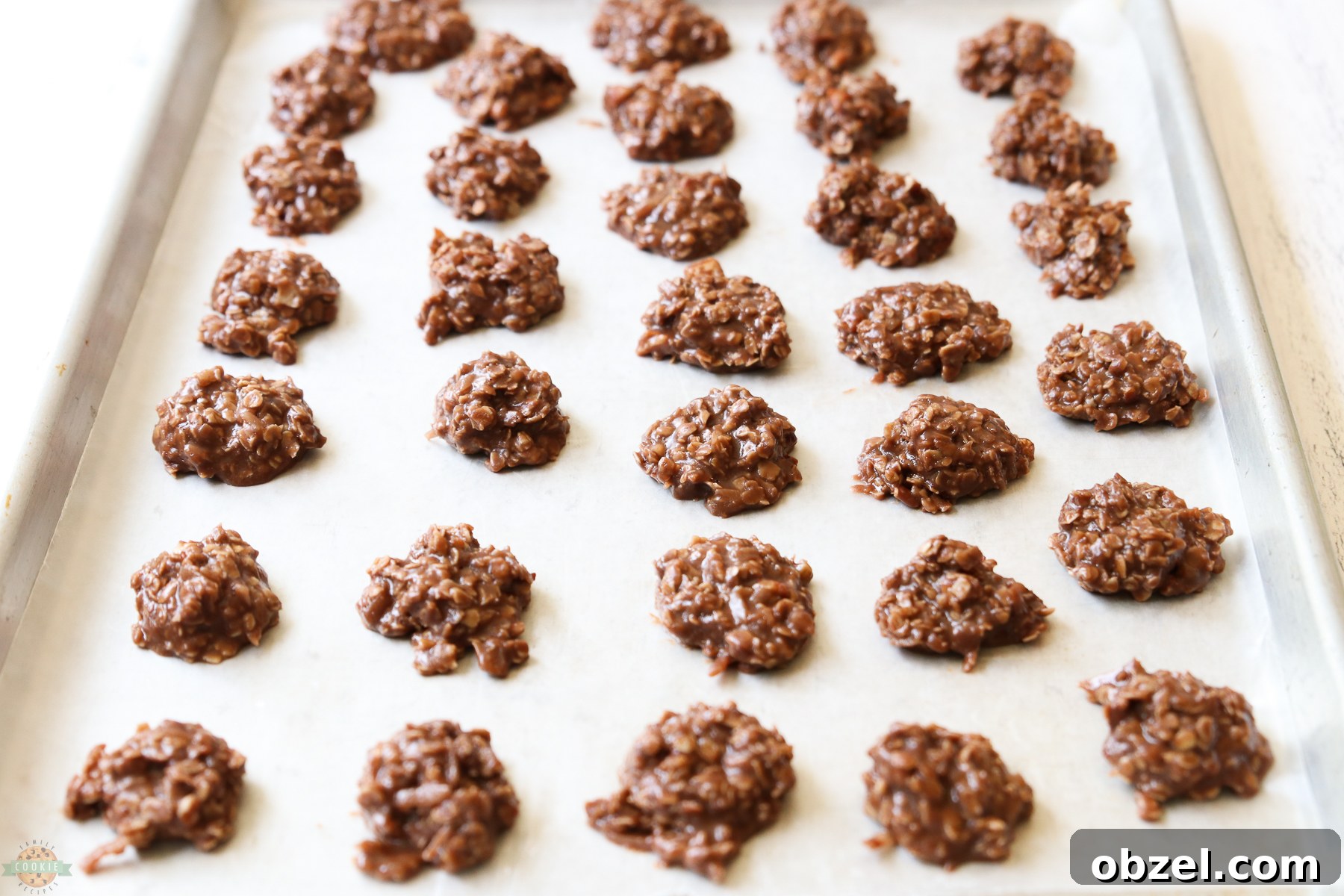 Peanut-Free No-Bake Cookies Recipe 5 tray of no bake cookies without peanut butter