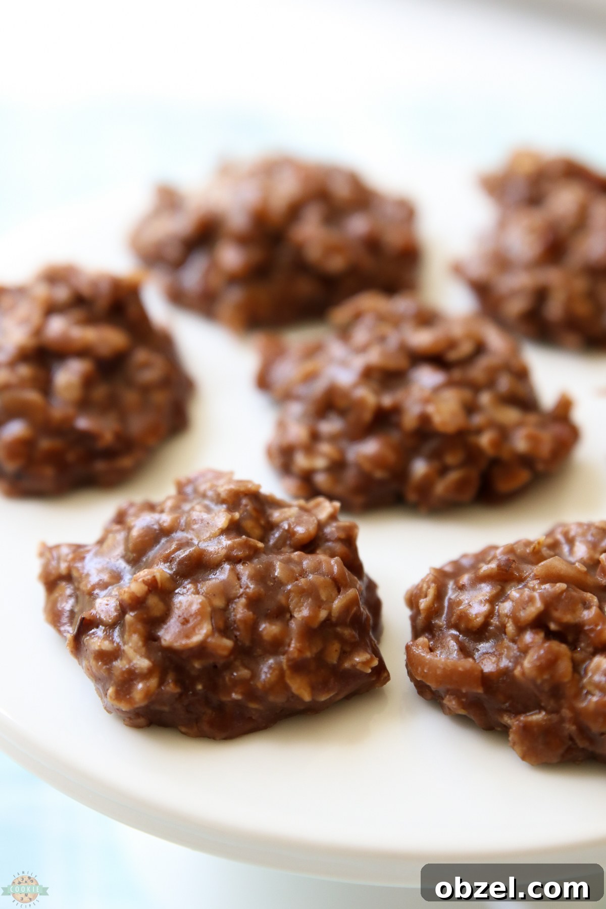 Peanut-Free No-Bake Cookies Recipe 6 no bake cookie recipe with coconut