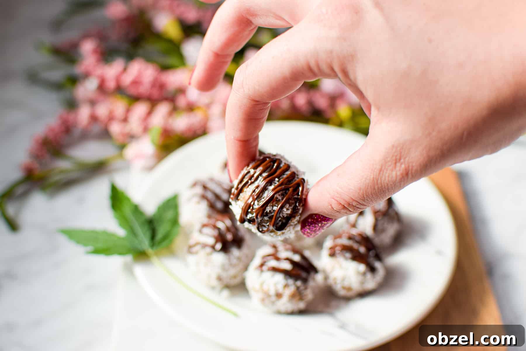 Cannabis Coconut Almond Bliss Balls Recipe 10 A white plate topped with several almond cannabis bliss balls garnished with a cannabis fan leaf with a hand holding one