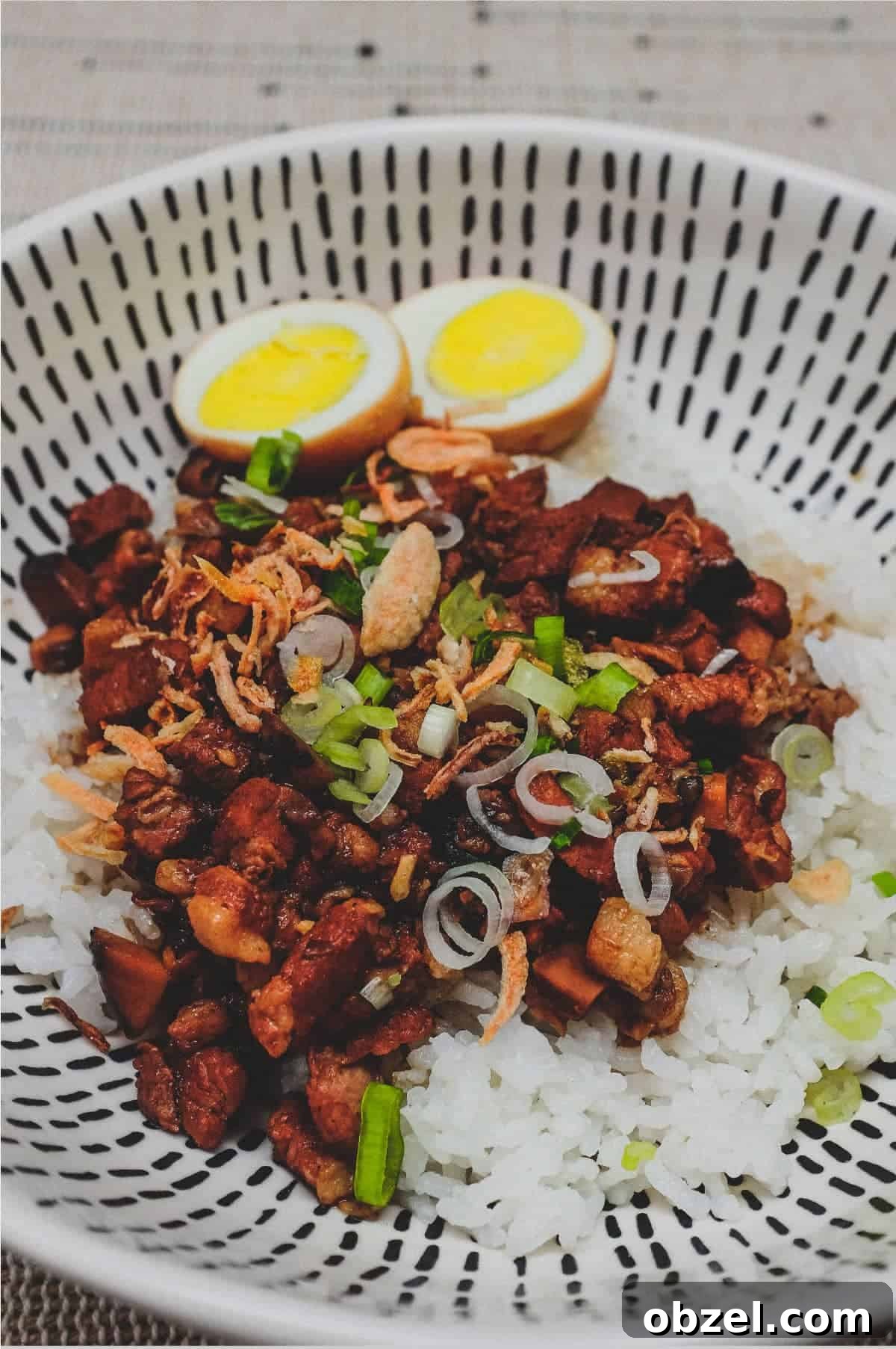A bowl of Taiwanese braised pork (Lu Rou Fan) on a bed of rice with two egg halves, crispy onion and spring onions as a garnish.