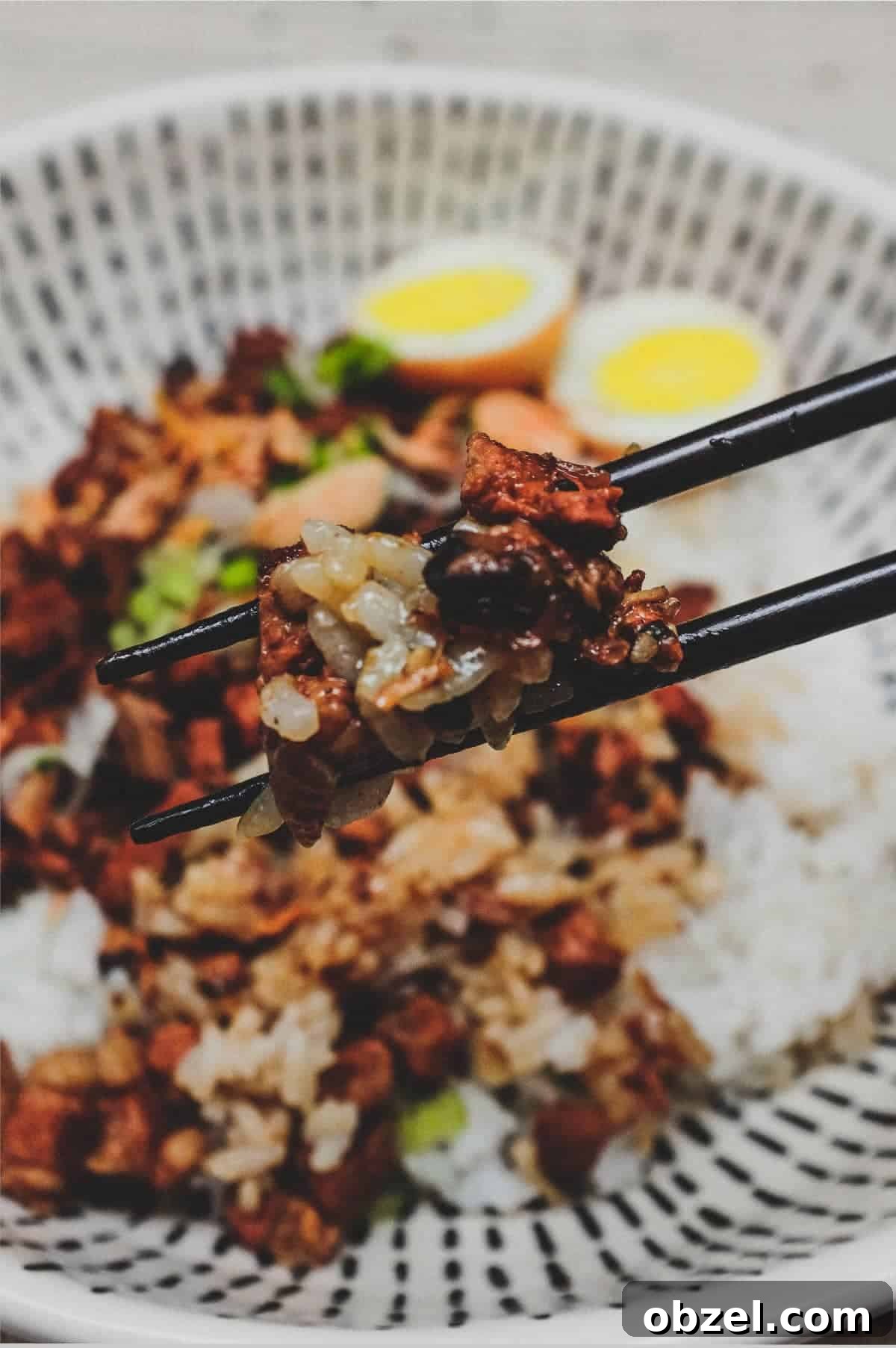 Chopsticks holding some Taiwanese Braised Pork