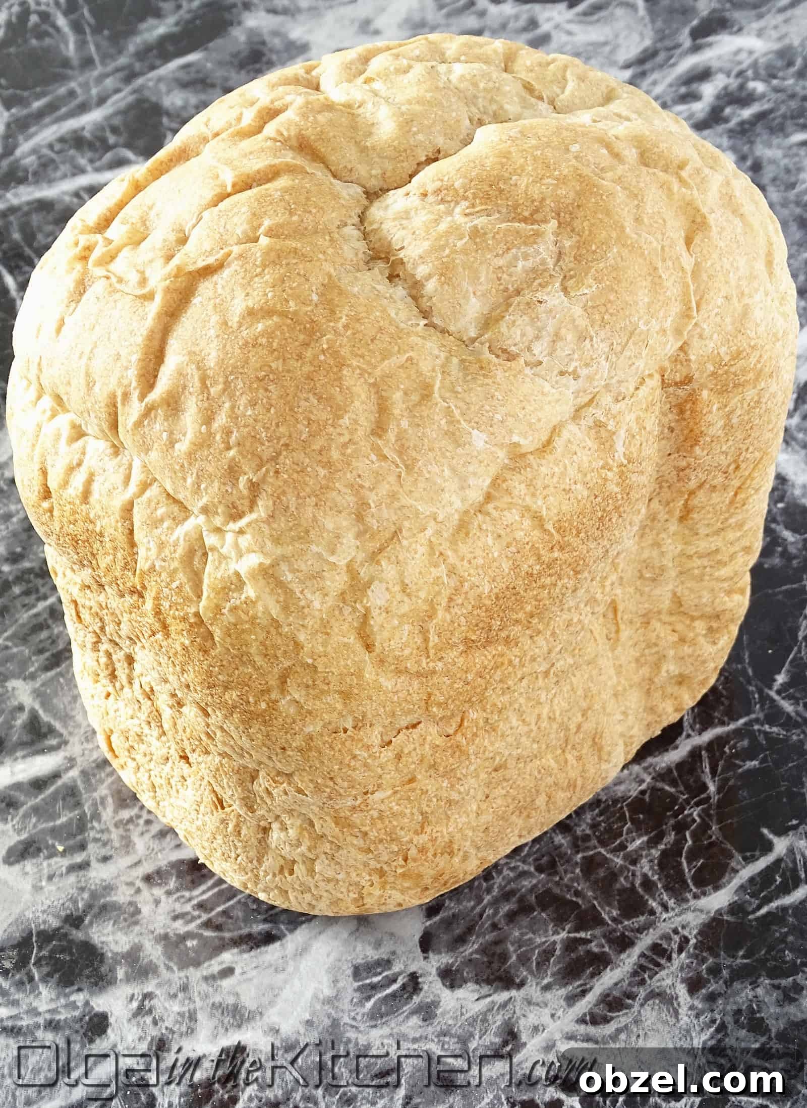 Oven Dried Bread for Stuffing and Breadcrumbs 4 Rustic bread used for oven dried bread.