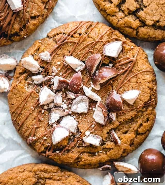 close up of a malt ball cookie