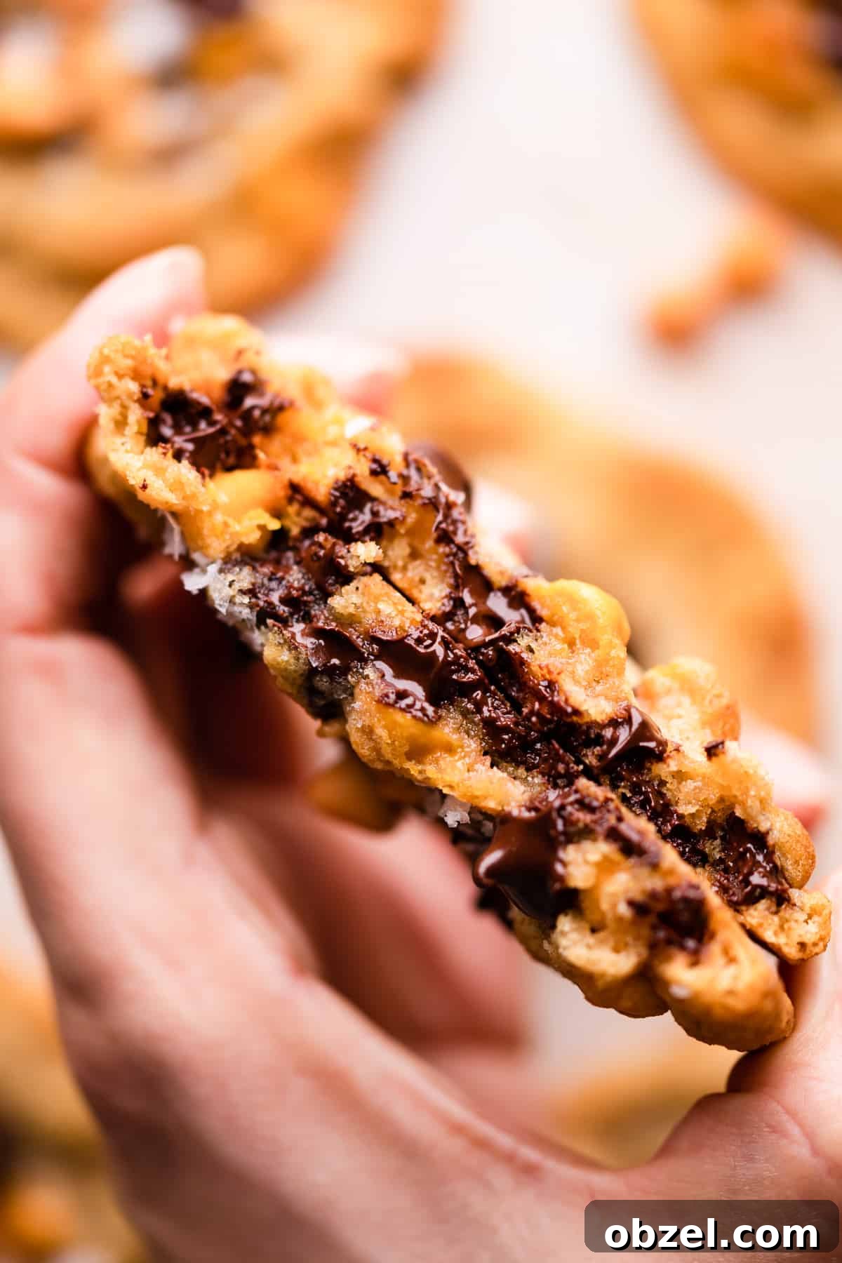 Butterscotch Chocolate Chip Cookie Recipe 9 hand holding butterscotch choc chip cookie split in half showing melted baking chips inside.