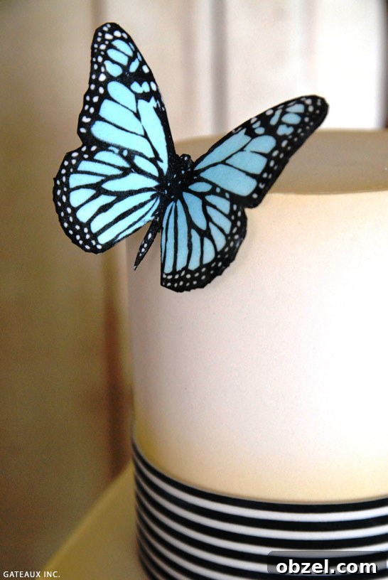 Vintage Butterfly Cake | by Gateaux Inc.