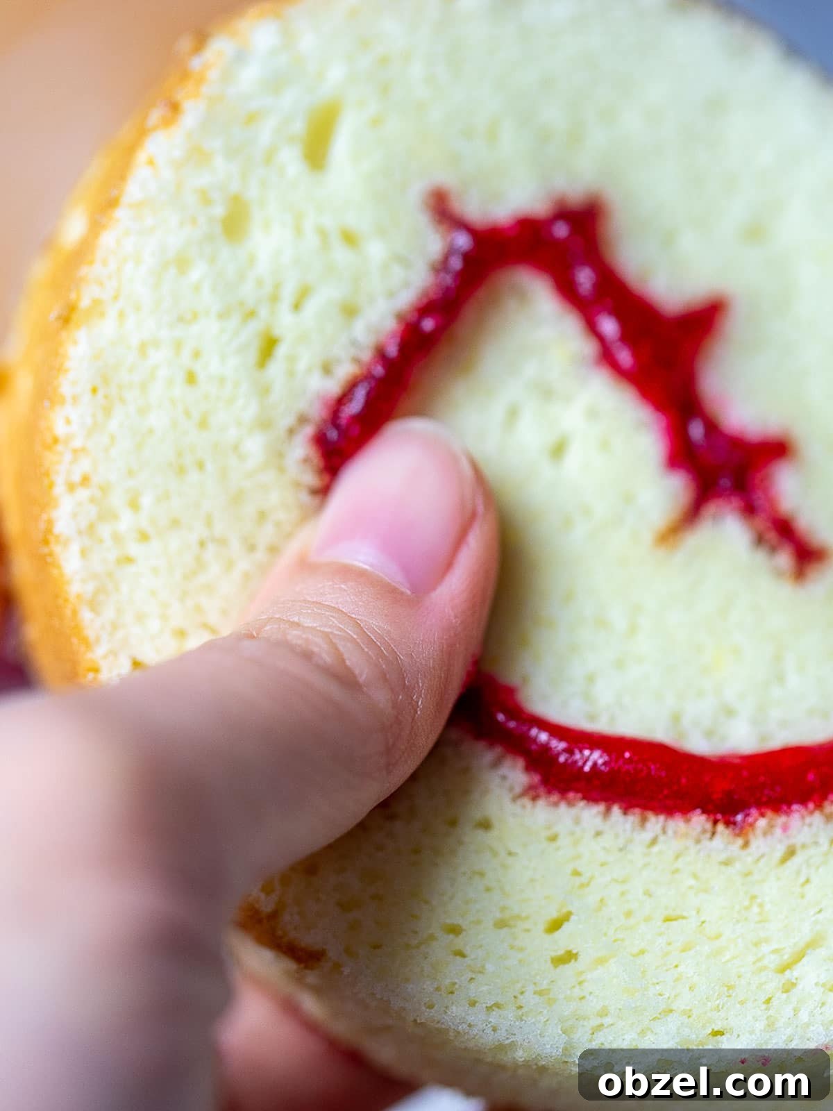 Bakery Style Swiss Roll Cake Recipe 12 Swiss roll cake with jam.