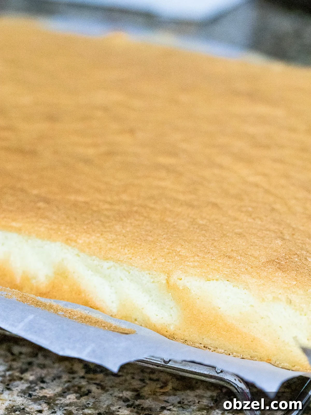 Bakery Style Swiss Roll Cake Recipe 10 Swiss roll cake on parchment paper.