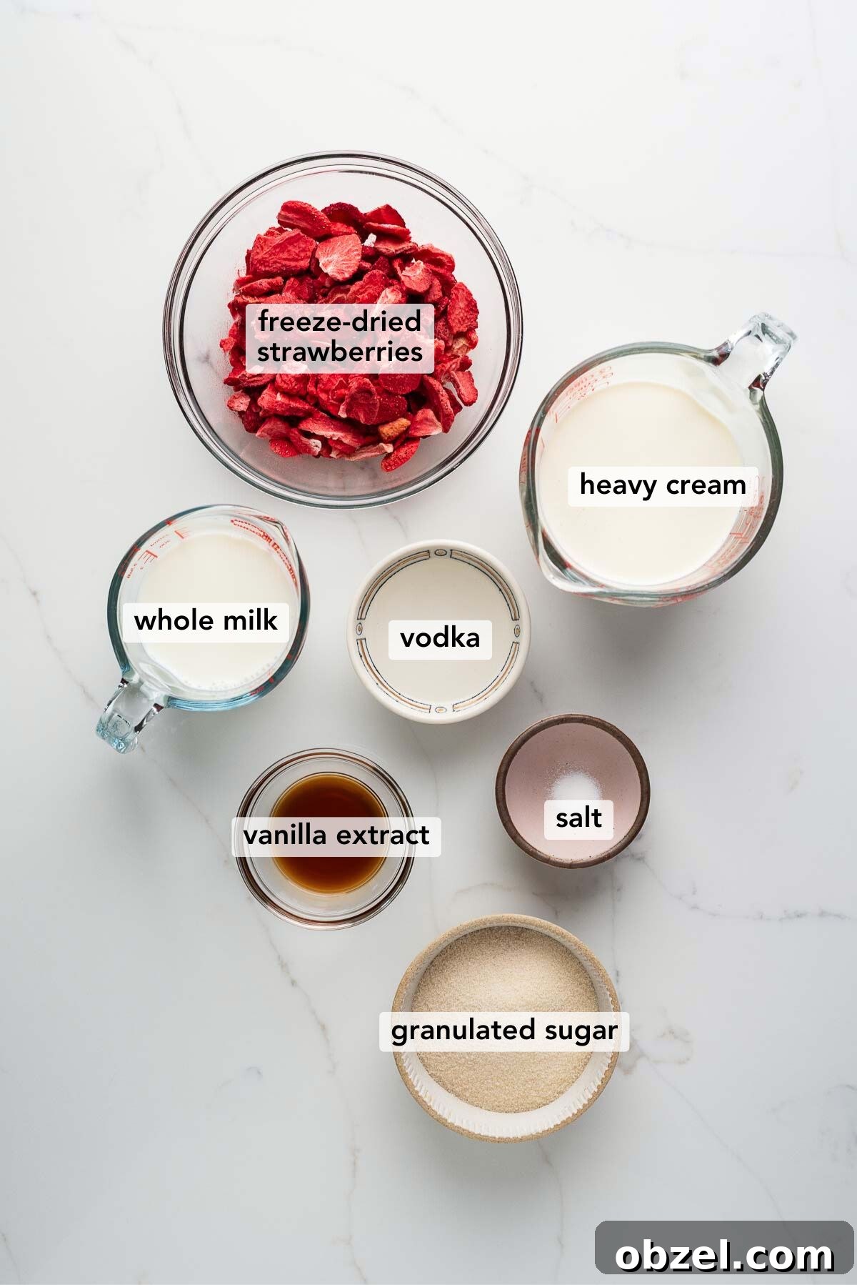 Ingredients in various size plates and bowls labeled as freeze-dried strawberries, heavy cream, whole milk, vodka, vanilla extract, salt, and granulated sugar on a white marbled background.