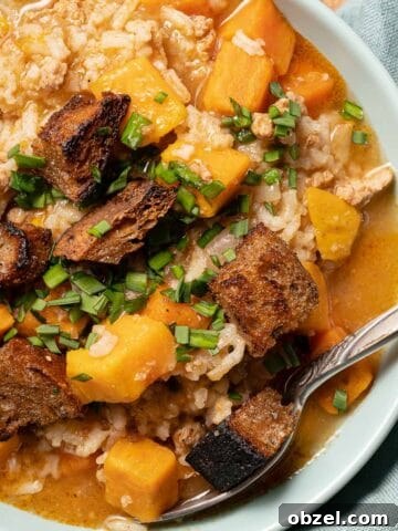Velvety Carrot, Pumpkin and Apple Soup Recipe 11 bowl of soup with sweet potato turkey and rice