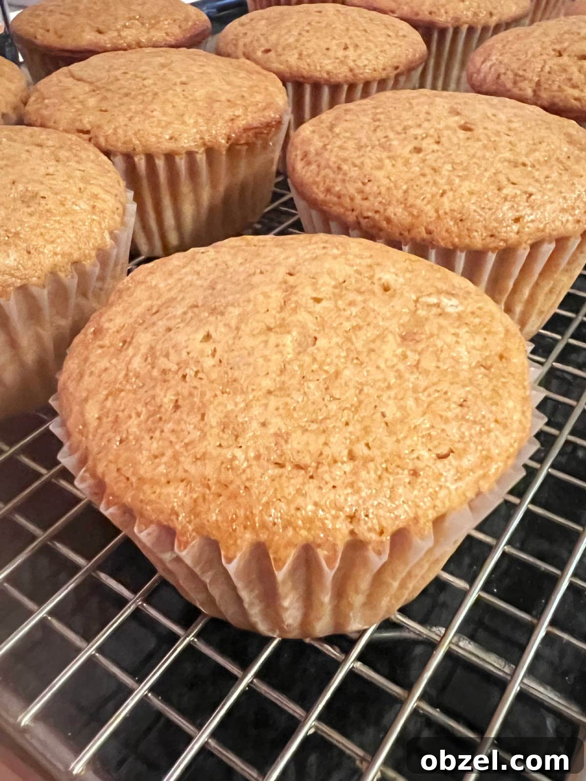 Gingerbread cupcakes, cooling on wire rack.