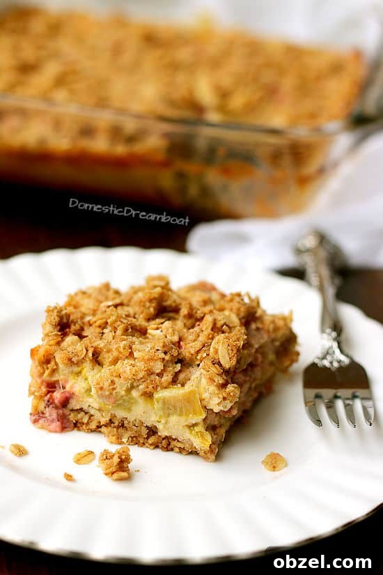 Strawberry Rhubarb Meringue Bars Recipe 6 Slice of rhubarb crisp on a white plate