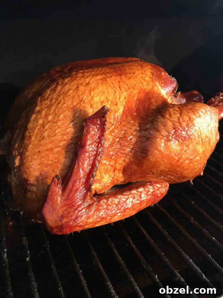 Traeger Lemon Herb Turkey Tenderloin Recipe 11 Traeger Maple Brined Turkey Recipe