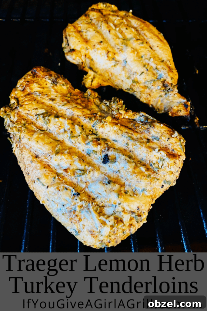 Traeger Lemon Herb Turkey Tenderloin Recipe 14 img 21791 13