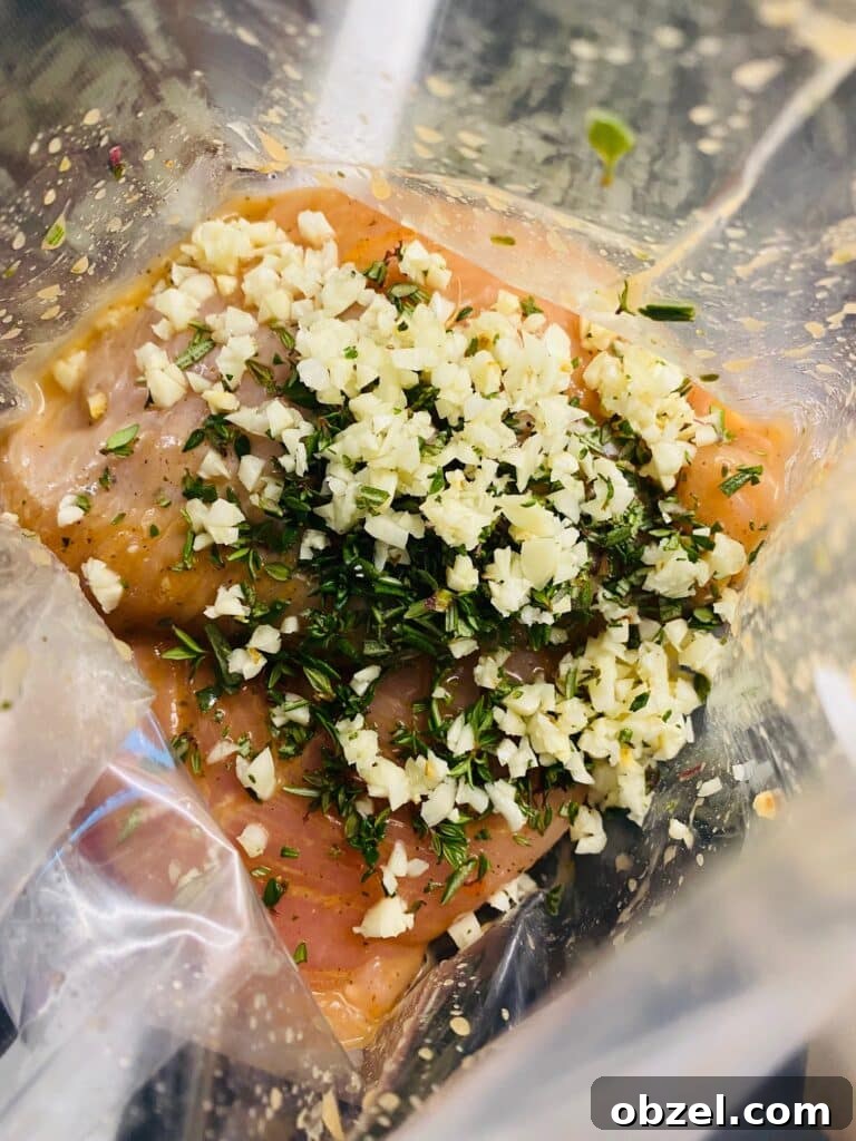 Traeger Lemon Herb Turkey Tenderloin Recipe 3 marinating the turkey in a bag