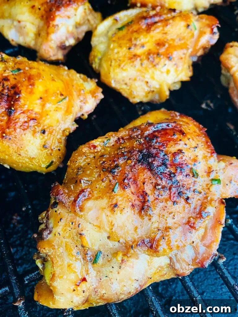 Traeger Lemon Herb Turkey Tenderloin Recipe 9 Smoked Lemonade Chicken Thighs