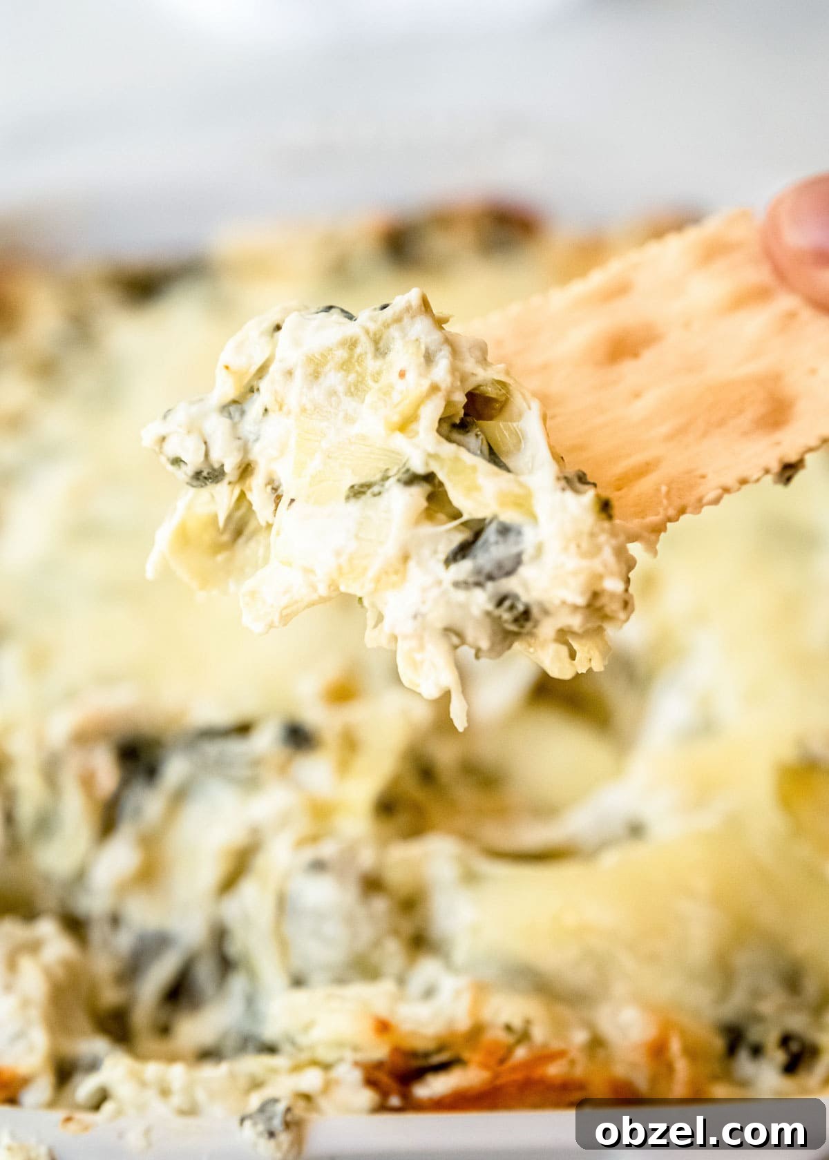 Creamy Spinach Artichoke Dip Recipe 12 a hand holding a cracker with easy baked spinach artichoke dip