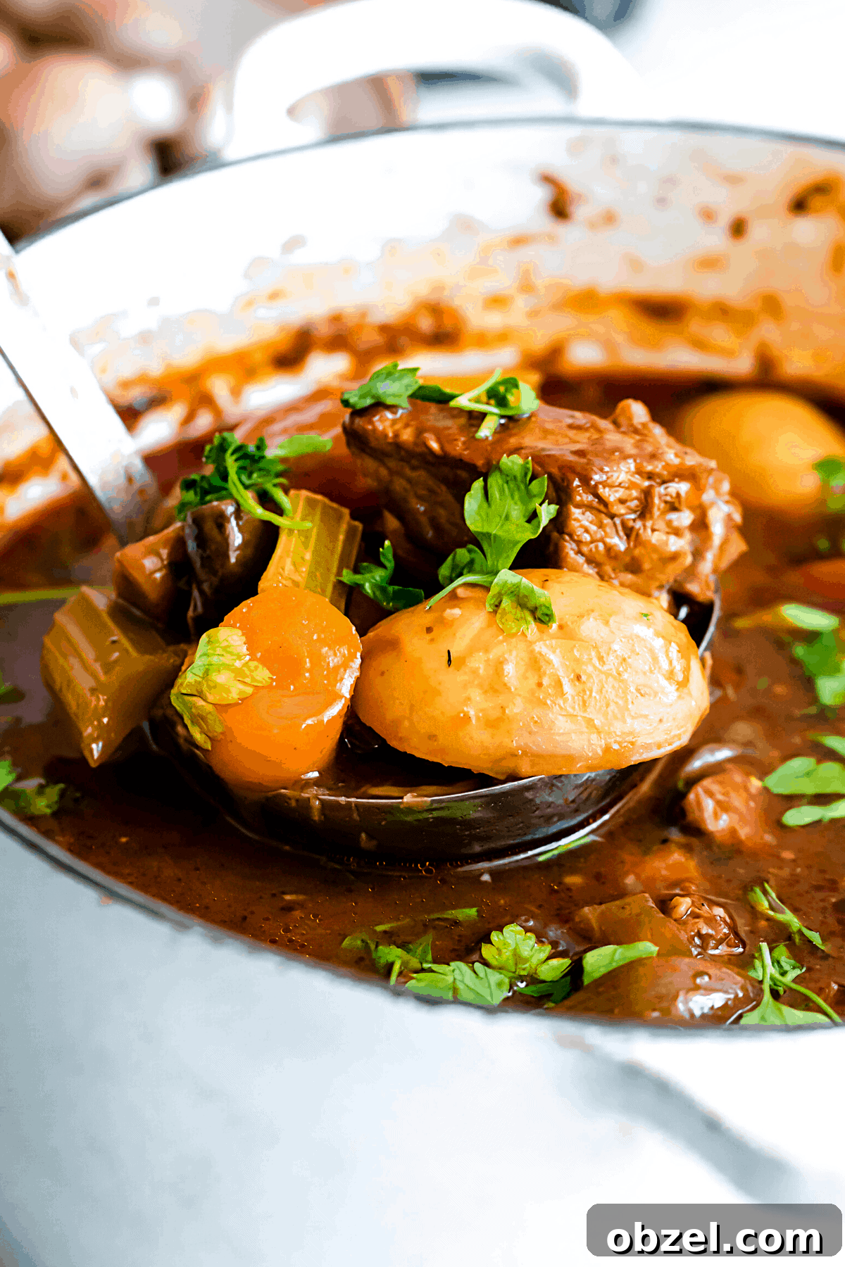 A ladle filled with Guinness beef stew.
