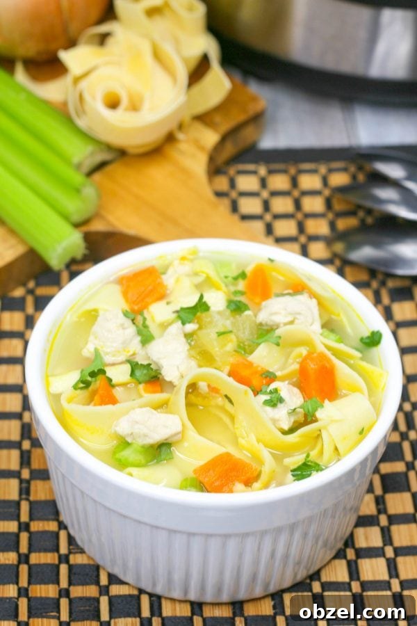 Instant Pot Chicken Noodle Soup Recipe 2 a white bowl of instant pot chicken noodle soup with carrots and egg noodles.