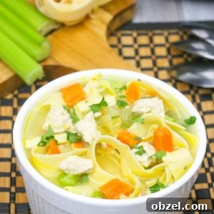 Instant Pot Chicken Noodle Soup Recipe 5 Instant Pot chicken noodle soup