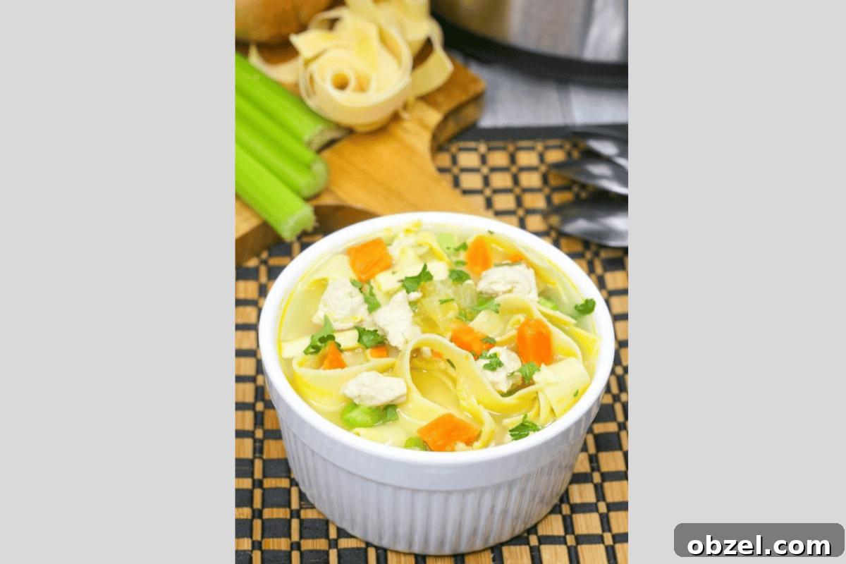 Instant Pot Chicken Noodle Soup Recipe 6 Instant Pot chicken noodle soup recipe image