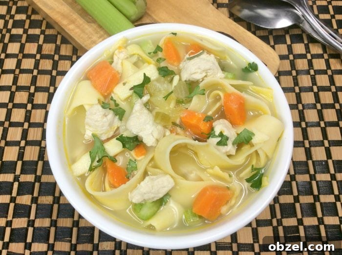 Instant Pot Chicken Noodle Soup Recipe 7 an overhead view chicken noodle soup on a black and tan placemat.