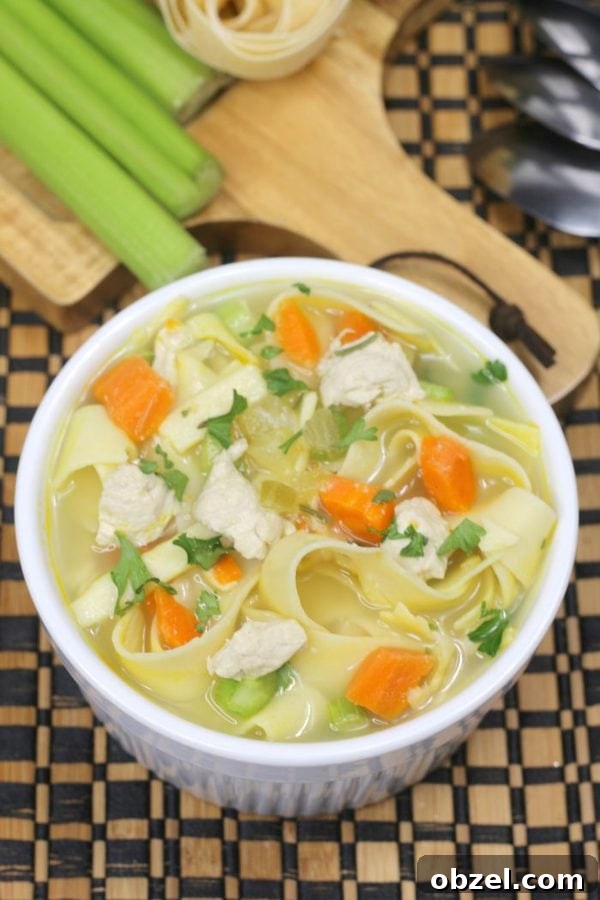 Instant Pot Chicken Noodle Soup Recipe 8 instant pot chicken noodle soup with celery and pasta in the background.