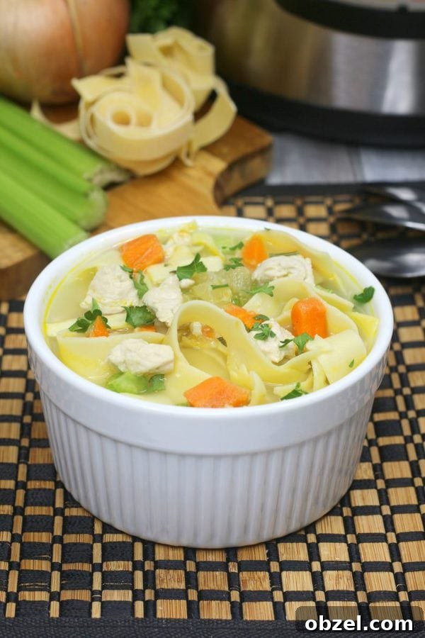 Instant Pot Chicken Noodle Soup Recipe 9 chicken noodle soup with celery, noodles, onion, and an instant pot in the background.