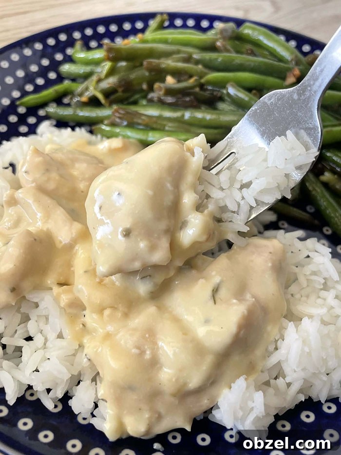 A dark blue Polish pottery plate with white polka dots with a serving of green beans and creamy Italian chicken over white rice with a fork held diagonally from the right just above the serving with a piece of chicken on it.