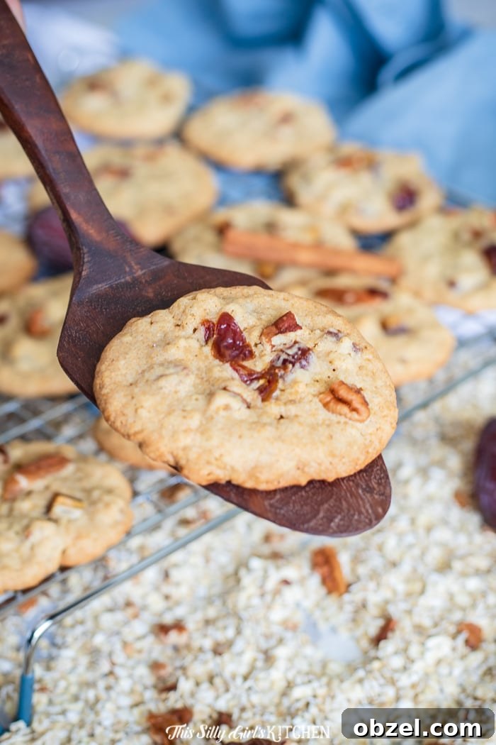 Date Cookies close up Close up date cookie showing chopped dates and pecans.