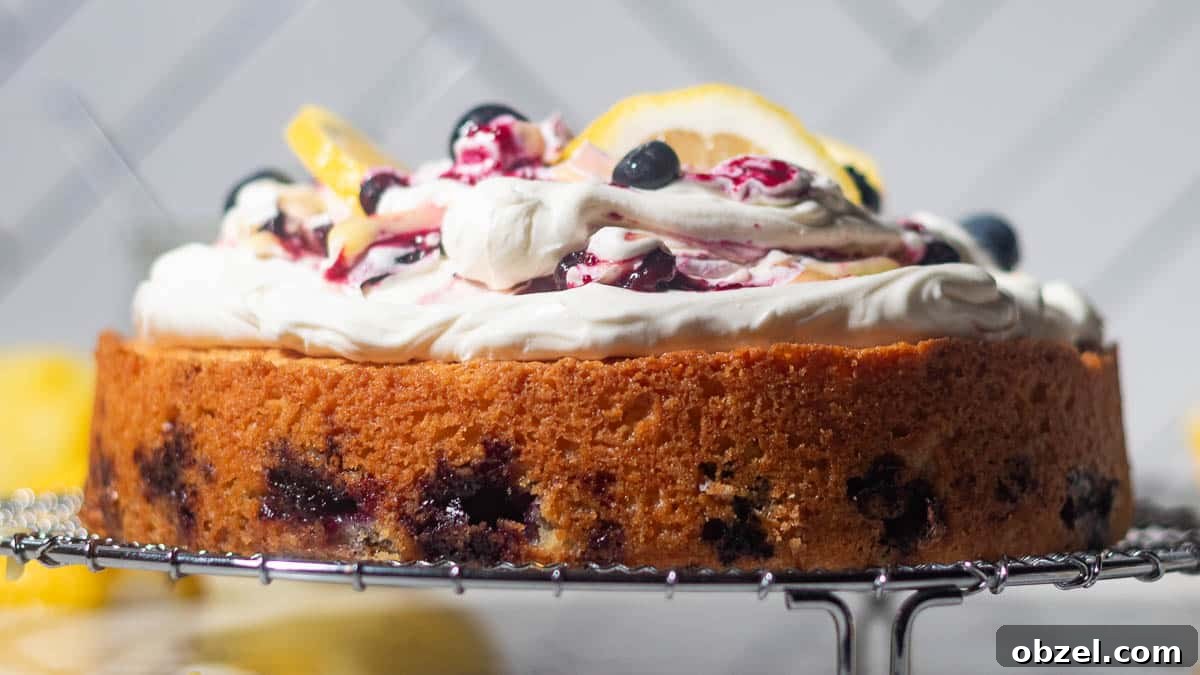 Lemon Blueberry Cake with Mascarpone Frosting 6 Close-up side angle of lemon blueberry mascarpone cake with golden cake base, blueberries, mascarpone frosting, and lemon curd.