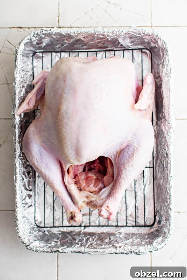 Top down view of a turkey in a roasting pan.