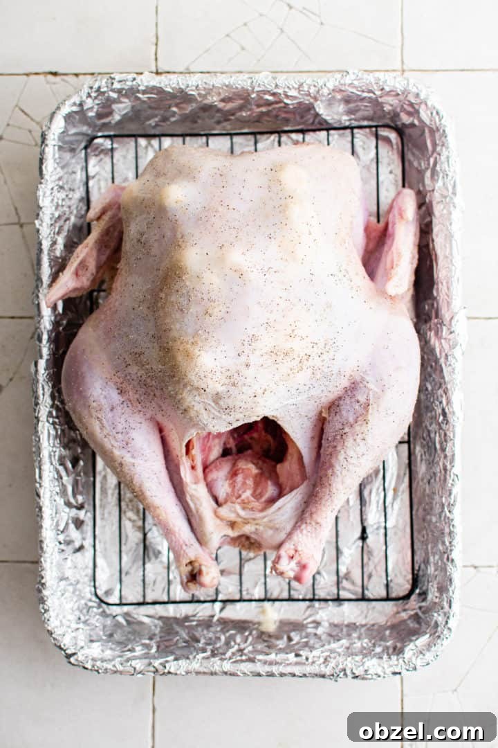 Top down view of a seasoned whole turkey on a pan.