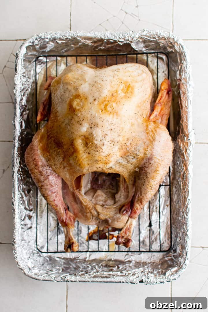 Top down view of a partially baked turkey.