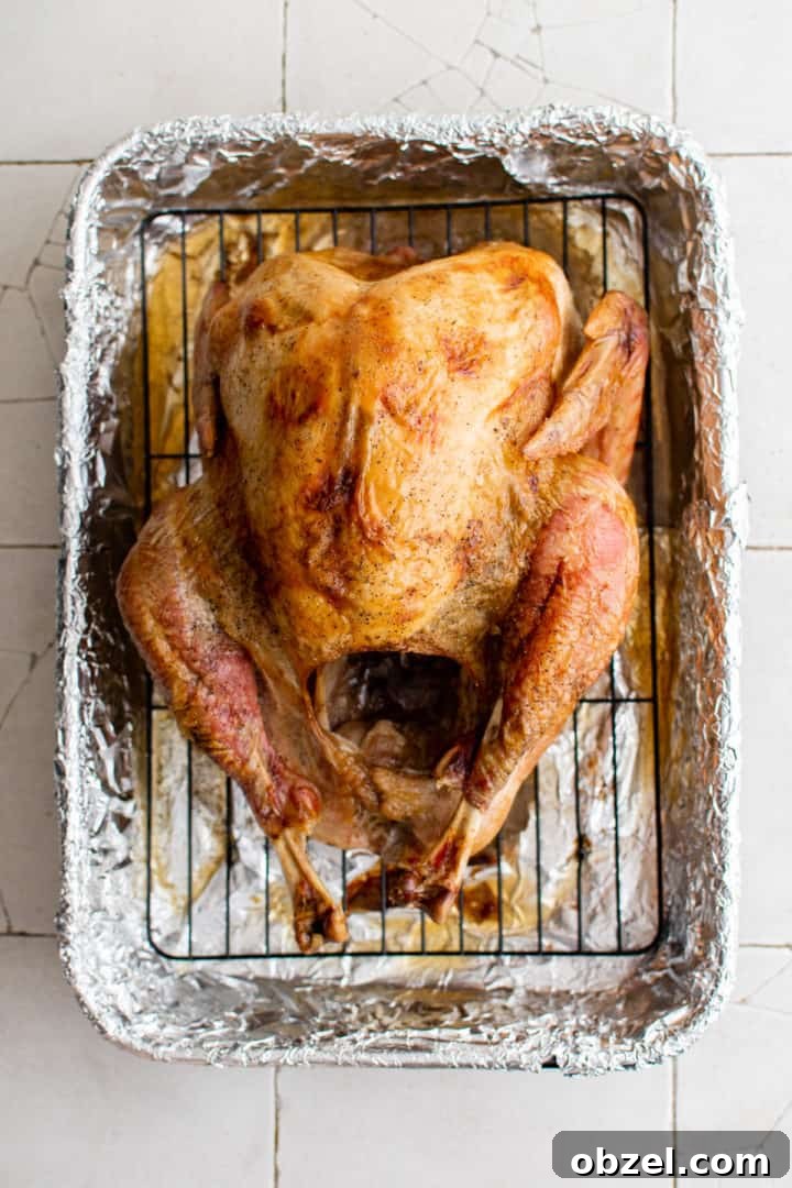 Top down view of oven roasted turkey in a pan.