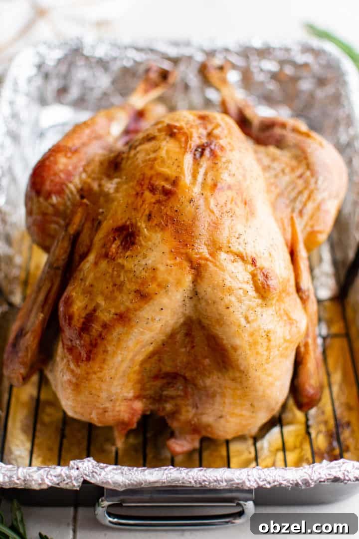 Whole roast turkey in a pan.