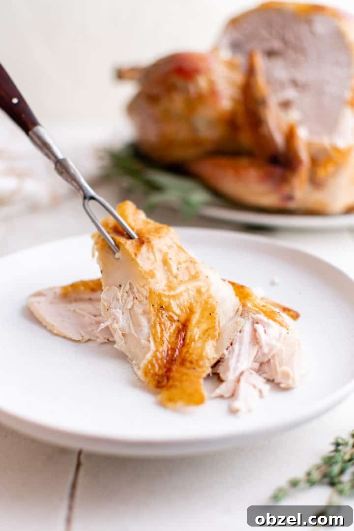 Roast turkey on a plate.