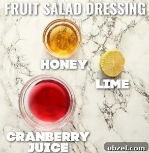 fruit salad dressing ingredients fruit salad dressing ingredients with text labels