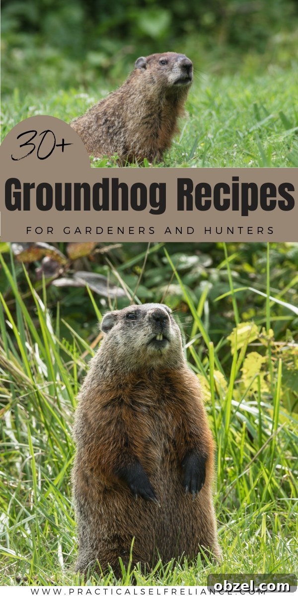 Over 30 Groundhog Recipes for Wild Game Cooking 6 List of Groundhog Recipes