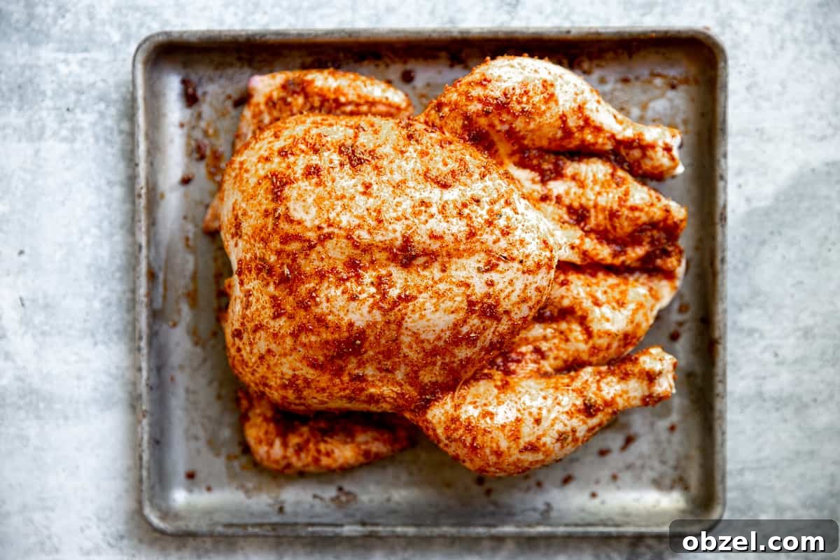 Traeger Smoked Whole Chicken Recipe 5 Spice rubbed chicken using the homemade dry rub mix.