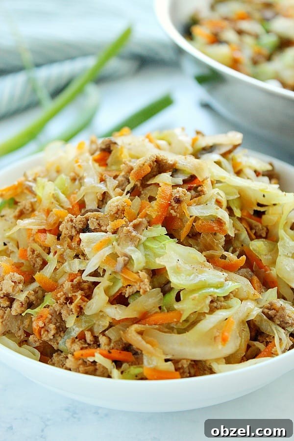 Egg Roll in a Bowl - quick and easy low-carb dinner made with ground chicken, pork or turkey, coleslaw mix, more veggies and Asian sauce. Everything cooks in one pan, in just 15 minutes. Side shot of egg roll filling in a white bowl.