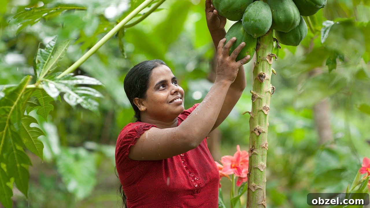 "Journey to Serendipol" – The Beauty of Fair Trade