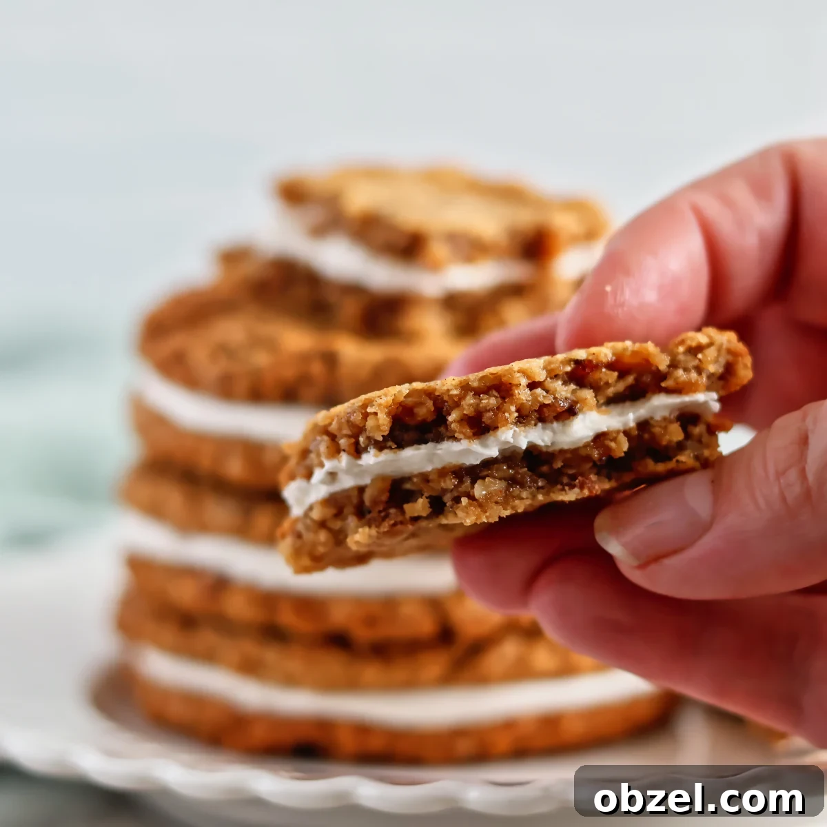 inside of an oatmeal creme pie.