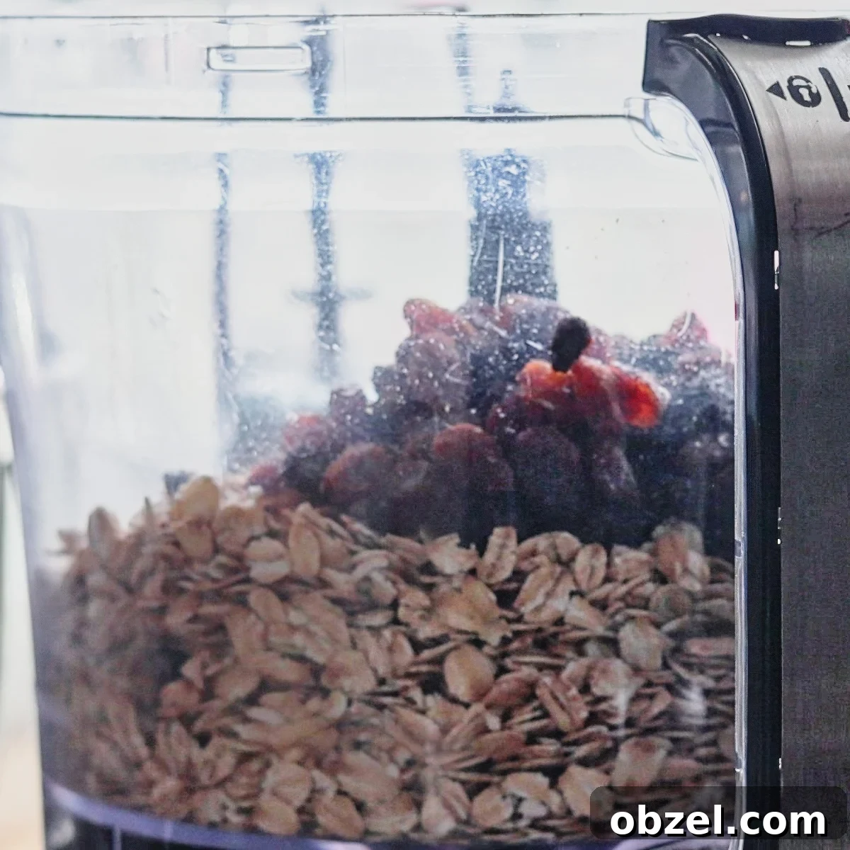 raisins on top of oatmeal in food processor bowl.